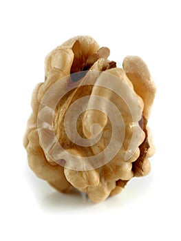 Kernel of a nut