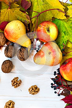 Kernel shelled walnuts, ripe pears and apples in the background