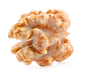 Kernel walnut photo