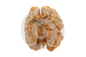 Kernel walnut isolated on white background