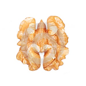 Kernel walnut isolated on white