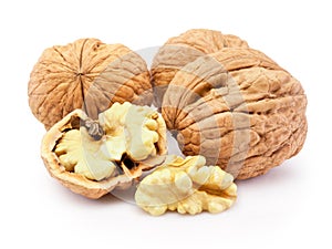 Kernel and whole walnut isolated on white background
