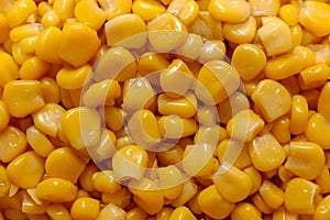 Kernels of cooked corn photo