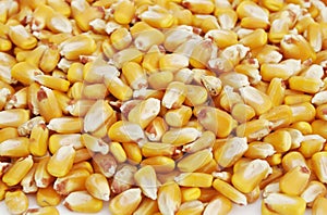 Kernels of Corn 4