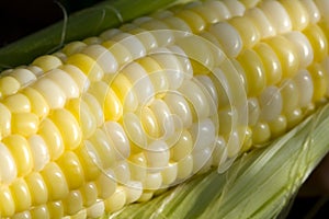 Kernels of Corn