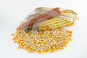 Kernels of corn in a pile with corn cob