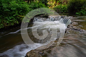 Kerosene creek nature hot water pool with waterfall photo