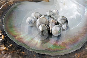 Keshi Tahitian Black Pearls photo