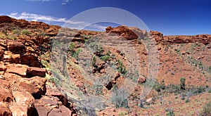 Kestrel Lookout King's Canyon