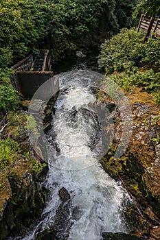 Ketchikan, Alaska, the salmon capital of the world