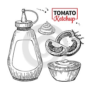 Ketchup sauce bottle with tomatoes. Vector drawing. Food flavor