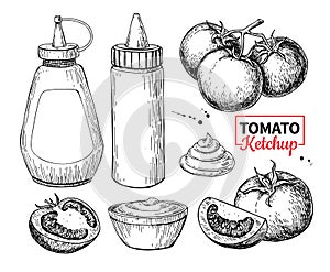 Ketchup sauce bottle with tomatoes. Vector drawing. Food flavor