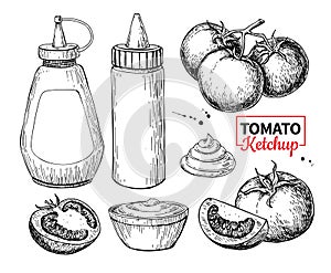 Ketchup sauce bottle with tomatoes. Vector drawing. Food flavor photo