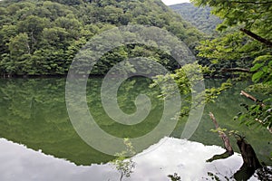 Ketoba pond in Shirakami Sanchi
