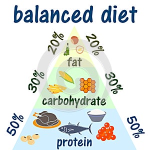Ketogenic diet food pyramid infographic for healthy eating diagram, low carbs, high healthy fat, long term effect, protein and FAT