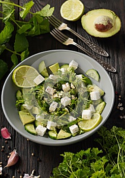 Ketogenic diet green salad with cucumbers, avocado, feta cheese and lime dressing