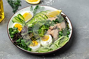 Ketogenic low carbs diet, Plate with keto foods: two eggs, avocado, tuna, cucumber and fresh salad. Healthy fats, clean eating for