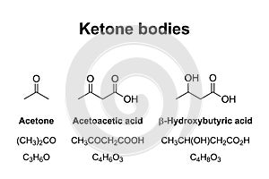 Ketone bodies, produced by ketogenesis, chemical formulas photo