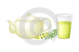 Kettle and Glass with Wormwood or Southernwood Plant Herbal Tea Vector Composition