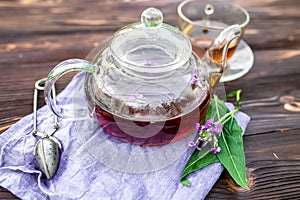 Kettle with herbal tea and fresh leaves Matthiola incana, Brompton stock, common stock, hoary stock, ten-week stock, and gilly-