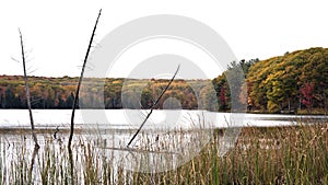 Kettle Lake in Autumn, Awenda Provincial Park, Ontario Canada