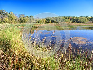 Kettle Moraine State Forest Wisconsin