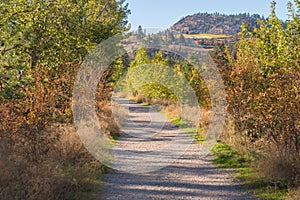 Kettle Valley Rail Trail through autumn forest on sunny day
