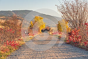 Kettle Valley Rail Trail at sunset in October near Penticton photo