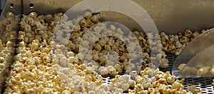 Kettlecorn Popcorn photo