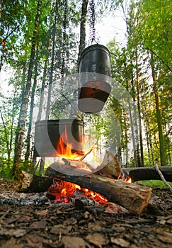 Kettles on fire in wood