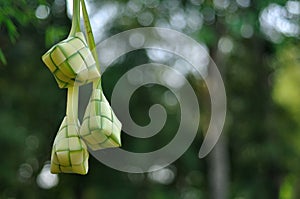 Ketupat on blur background