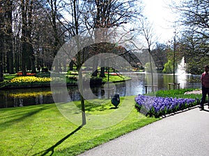 Keukenhof, Holland- april 04, 2007: central part of the park, a pond, tall trees, beautiful flower beds