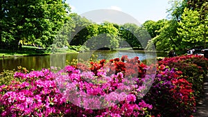 keukenhof,netherlands,holland;11/05/2019: Stunning spring landscape, famous Keukenhof garden with colorful fresh tulips,