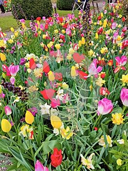 Keukenhof park of flowers and tulips in the Netherlands. Beautiful outdoor scenery in Holland