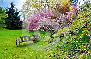 Kew botanical garden in spring, London, United Kingdom