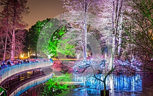 Kew Gardens in Christmas time, London photo