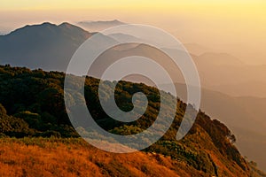 Kew Mae Pan Doi Inthanon Tropics