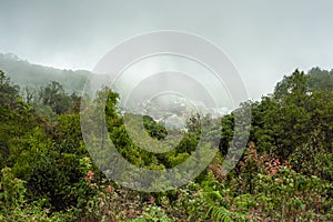 Kew Mae Pan Nature Trail Trekking trail leading through jungle