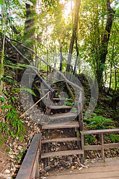 Kew Mae Pan Nature Trail Trekking trail leading through jungle