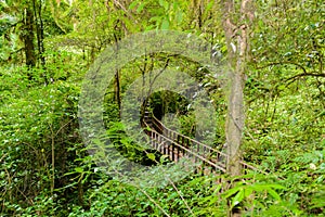 Kew Mae Pan Nature Trail Trekking trail leading through jungle