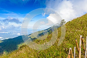 Kew Mae Pan Nature Trail Trekking trail leading through jungle