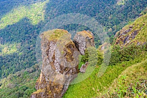 Kew Mae Pan Nature Trail Trekking trail leading through jungle