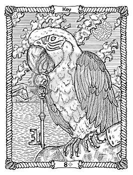 Key card from the oracle Old Marine Lenormand deck with parrot.  Nautical vintage background, coloring book page, t-shirt and
