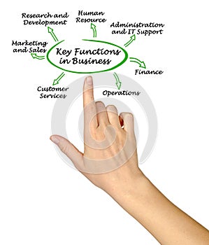 Key Functions in Business