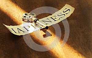 Key of happiness photo