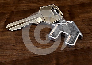 Key And House Keyring