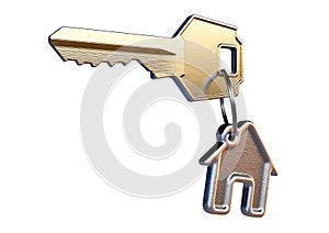 Key And House Keyring