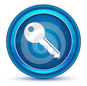 Key icon eyeball blue round button