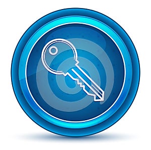 Key icon eyeball blue round button