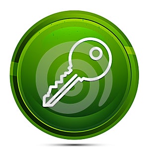Key icon glassy green round button illustration